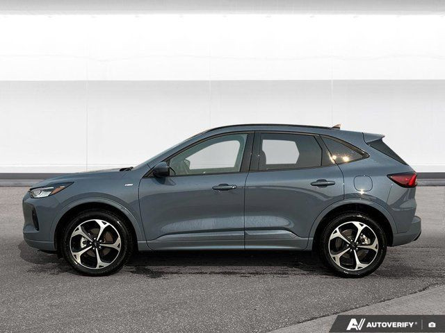 2024 Ford Escape ST-Line Select in Cars & Trucks in Winnipeg - Image 2