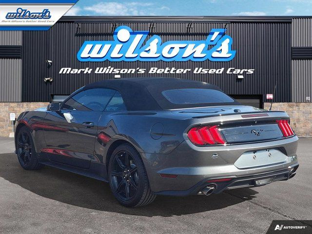 2018 Ford Mustang EcoBoost Premium Leather | Cooled + in Cars & Trucks in Guelph - Image 3