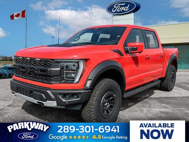 2023 Ford F-150 Raptor in Cars & Trucks in Kitchener / Waterloo