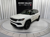 QUICK ORDER PACKAGE 29B ALTITUDE, TWO-TONE PAINT W/GLOSS BLACK ROOF, CONVENIENCE GROUP, SUN & SOUND... (image 2)