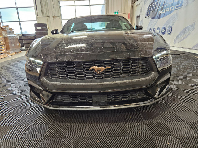 2024 Ford Mustang PREMIUM | 201A | BRONZE APPEARANCE PKG in Cars & Trucks in Lloydminster - Image 3