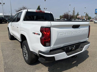 Craving a blend of robust strength and advanced technology in your next truck? Meet the striking 202... (image 6)