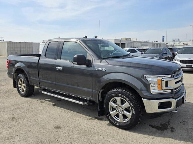 2019 Ford F-150 XLT | Remote Start | Power Adjust Pedals | Cruis in Cars & Trucks in Winnipeg - Image 3