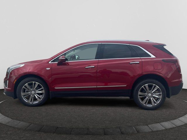 2025 Cadillac XT5 AWD Premium Luxury in Cars & Trucks in Regina - Image 2