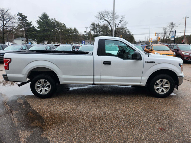 2019 Ford F-150 XL Clean Carfax, 4x2, 8 foot box, Call Now! in Cars & Trucks in Annapolis Valley - Image 4