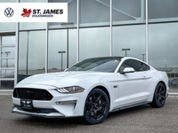  2019 Ford Mustang GT | LOCAL MB VEHICLE |