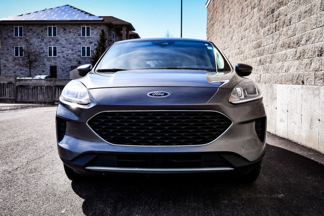 2021 Ford Escape SE AWD - Heated Seats - Android Auto dans Autos et camions  à Kingston - Image 4
