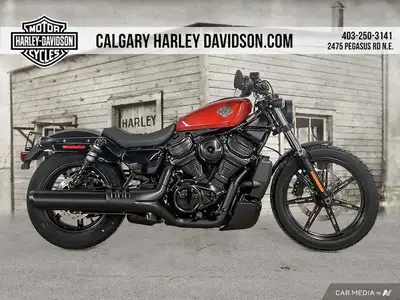Into a new dawn. With classic Sportster form and modern function, the nimble Nightster has a low cen...