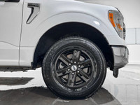 Recent Arrival! 10-Speed Automatic 4WD 3.5L V6 EcoBoost 7 Speakers, ABS brakes, Air Conditioning, Al... (image 9)