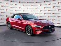Thanks for viewing our House of Cars Lethbridge Inventory! AMVIC licensed dealer! Thanks again to ou... (image 8)
