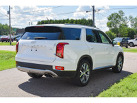 Pre-Owned. Visit us today at Hyundai Pembroke and check out this 2020 Hyundai Palisade Preferred, St... (image 9)