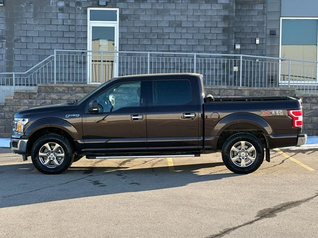 2020 Ford F-150 XL 4WD SuperCrew 5.5' Box |BIG SUMMER BLOWOUT! in Cars & Trucks in Calgary - Image 2