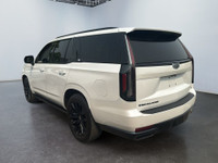 ### Cadillac Escalade Sport Platinum 4WD 2024 Couleur exterieure : Blanc Vehicule de luxe, puissant... (image 4)