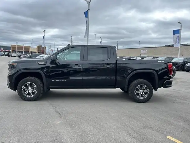 2025 GMC Sierra 1500 Pro63871251301761123