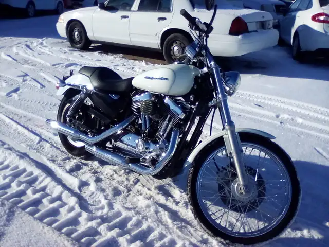 2005 Hd Sp XL1200 in Cars & Trucks in Winnipeg - Image 2