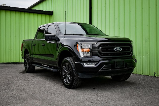 2023 Ford F-150 XLT - Aluminum Wheels - SYNC in Cars & Trucks in Kingston