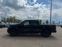 AMVIC Licensed Engine: V6 Cylinder Engine 3.5L L/100Km City: 13.5 L/100Km Hwy: 10.2 Safety Equipment... (image 5)
