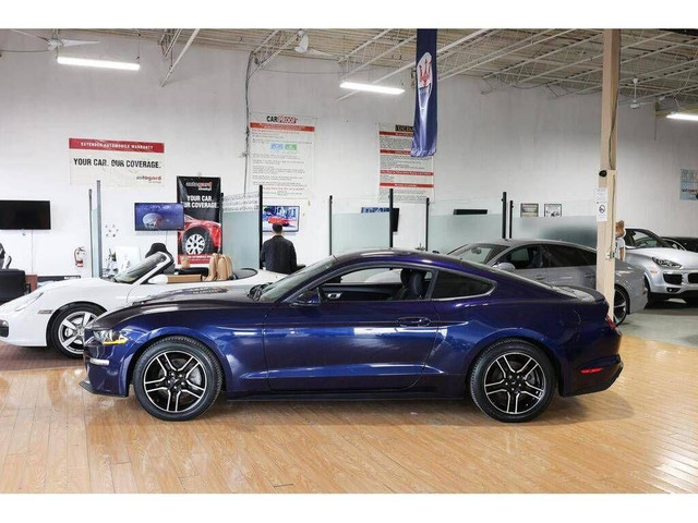 2018 Ford Mustang EcoBoost M/T - NO ACCIDENT|CAMERA|PUSH START in Cars & Trucks in City of Toronto - Image 3