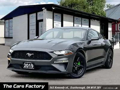 2019 Ford Mustang EcoBoost Fastback Automatic – Low KM, One Owner! Turn heads in this stunning 2019...