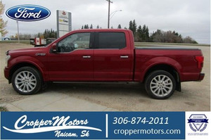 2019 Ford F 150 Limited