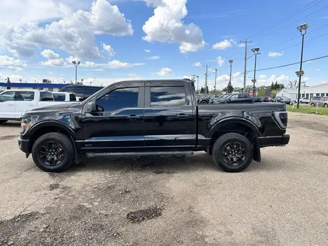 2024 Ford F-150 STX SuperCrew 145 | Rear Cam | Tow/Haul Pack in Cars & Trucks in Edmonton - Image 3
