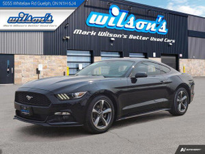 2017 Ford Mustang V6 | 6-Speed Manual | Nav | Bluetooth | Rear Camera | 18 Wheels | New Brakes |