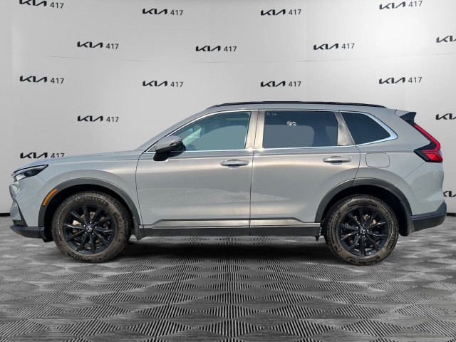 2024 Honda CR-V in Cars & Trucks in Ottawa - Image 2
