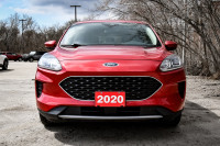 Heated Seats, Aluminum Wheels, Android Auto, Apple CarPlay, Ford Co-Pilot360! 6 LOCATIONS KINGSTON -... (image 3)