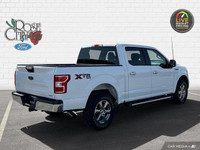 - ONE OWNER - ACCIDENT FREE - 2.7L ECOBOOST ENGINE - CLOTH SEATS - CHROME RUNNING BOARDS - PRE-COLLI... (image 5)