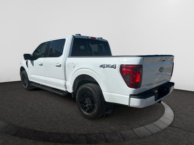 2025 Ford F-150 XLT in Cars & Trucks in Regina - Image 3