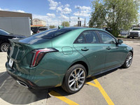 Experience exhilarating performance and refined luxury with the New 2025 Cadillac CT4 Sport, showcas... (image 8)