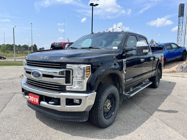2019 Ford Super Duty F-250 SRW XLT | 603A | PREMIUM PKG in Cars & Trucks in Kitchener / Waterloo
