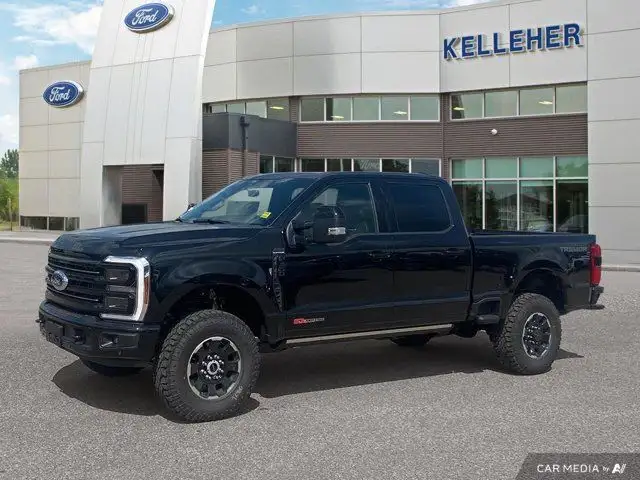 2025 Ford Super Duty F-350 SRW Platinum in Cars & Trucks in Brandon - Image 2