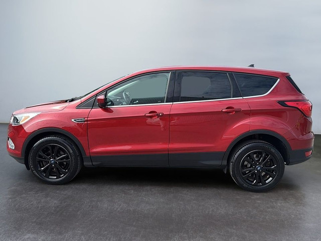 2019 Ford Escape SE CARPLAY SIEGES CHAUFFANTS CRUISE dans Autos et camions  à Laval/Rive Nord - Image 3