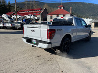 Skid Plates, Pro Power Onboard - 7.2KW, Platinum Black Leather Bucket, Wheel Well Liner, Bedliner Sp... (image 2)