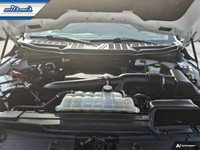 Look at this certified 2023 Ford F-150 XLTCrew 4X4 | 3.5L EcoBoost | Trailer Brake Controller | Powe... (image 8)