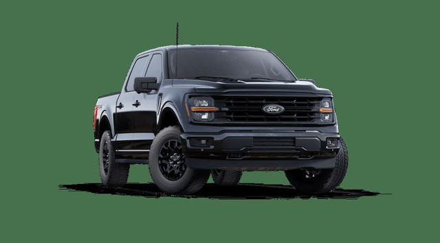2025 Ford F-150 XLT | BLACK APP PKG | TOW PKG | FX4 PKG | BED PK in Cars & Trucks in Calgary - Image 4
