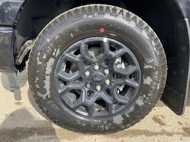 2025 Ford F-150 XLT | 302A | SuperCrew 145 in Cars & Trucks in Edmonton - Image 3