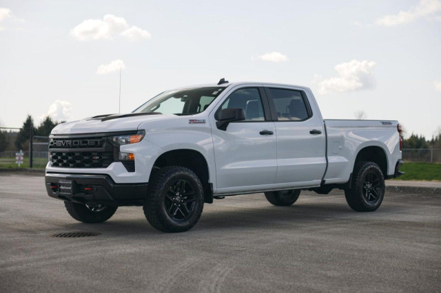 2024 Chevrolet Silverado 1500 in Cars & Trucks in Delta/Surrey/Langley - Image 4