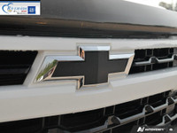 Engine: 8 Cylinder Engine 5.3L/325CI L/100Km City: 16.8 L/100Km Hwy: 12.4 Safety Equipment Daytime R... (image 8)