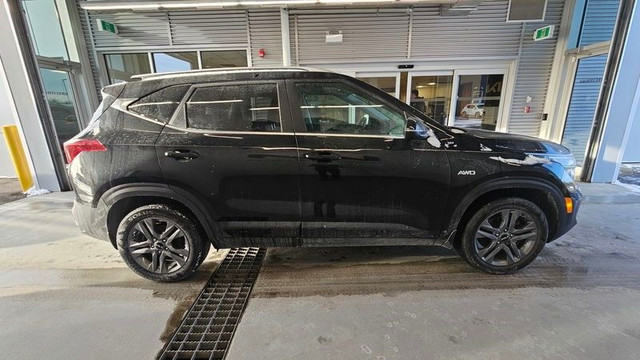 2023 Kia Seltos in Cars & Trucks in Cornwall - Image 4