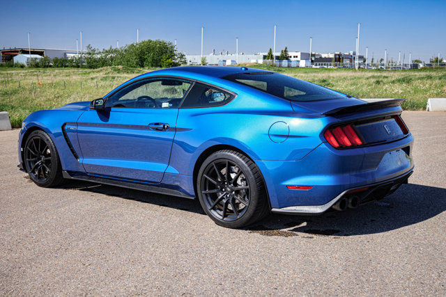 2017 Ford Mustang SHELBY LEATHER LOW KMS in Cars & Trucks in Strathcona County - Image 2
