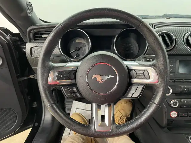 2016 Ford Mustang V6 in Cars & Trucks in Guelph - Image 14