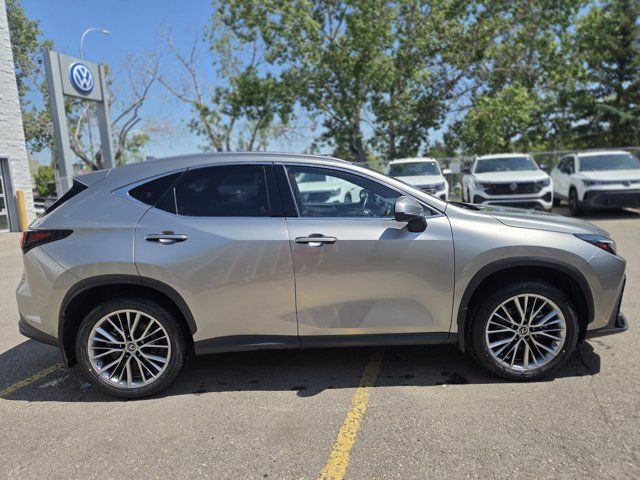 2022 Lexus NX NX 350h in Cars & Trucks in Calgary - Image 2
