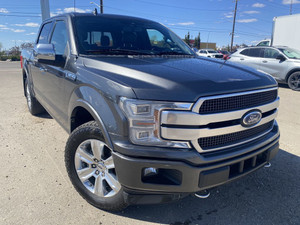 2019 Ford F 150 Platinum