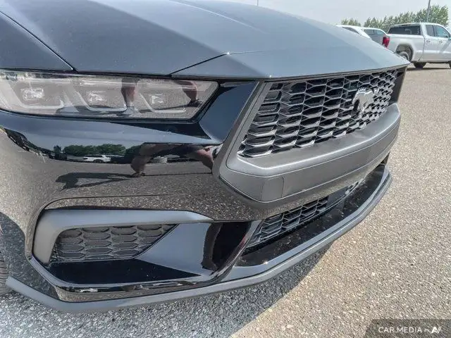 2025 Ford Mustang EcoBoost in Cars & Trucks in Brandon - Image 31