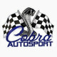 Cobra Auto Sport