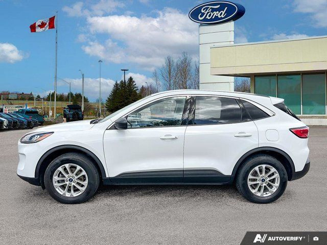 2022 Ford Escape SE in Cars & Trucks in Kitchener / Waterloo - Image 4