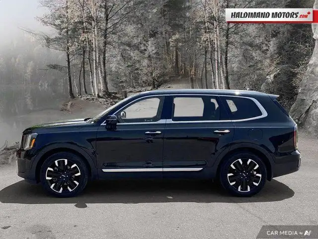 2023 Kia Telluride SX Limited in Cars & Trucks in Hamilton - Image 3