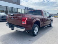Hop into the bold and burly 2016 Ford F-150 XLT 5.0L, a pickup that's as ready for adventure as it i... (image 6)
